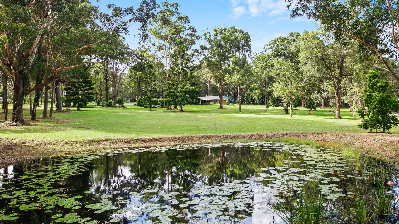 Women's Healing Sanctuary